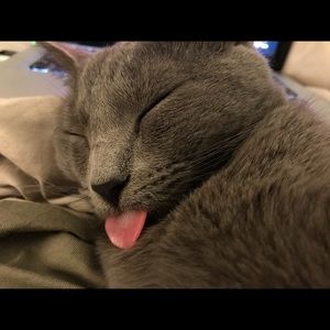 Meet your Posher, Kristi